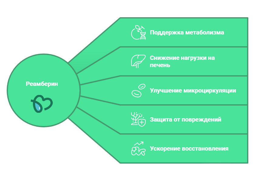 Действие Реамберина (инфографика)